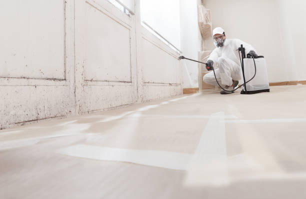 24/7 Emergency Mold Testing experts in Burnsville, NC